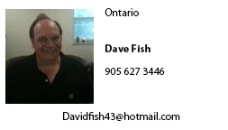 Dave Fish